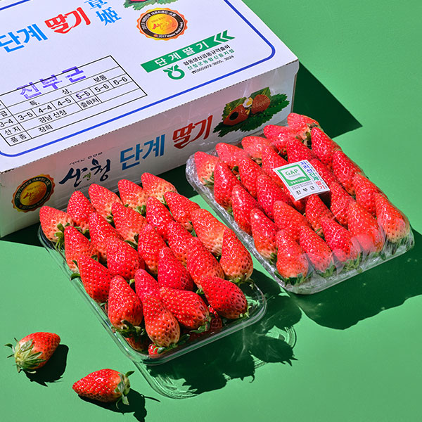 [프리미엄딸기] 장희 딸기(산청단계딸기) 750g이상 1팩