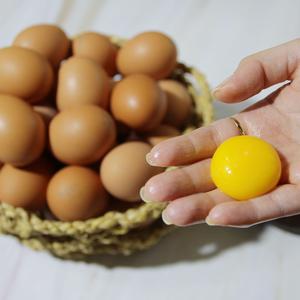 무항생제 HACCP 인증 계란 60구(30구*2) 대표이미지 섬네일