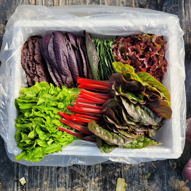 유기농 모듬쌈채소 샐러드 야채 1kg