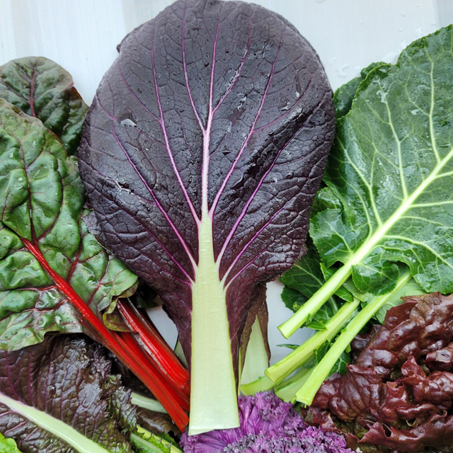 유기농 모듬쌈채소 샐러드 야채 1kg
