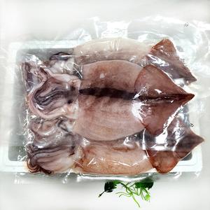 군산 냉동 손질오징어 개별 진공포장 (특대 대 중) 상품이미지