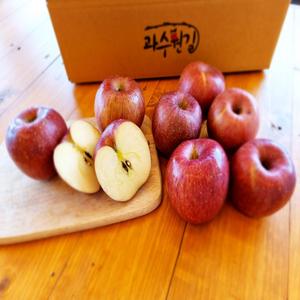[가정용] 산지직송 햇 빨간 사과 (2.5kg/3.5kg/7.5kg/10kg) 상품이미지