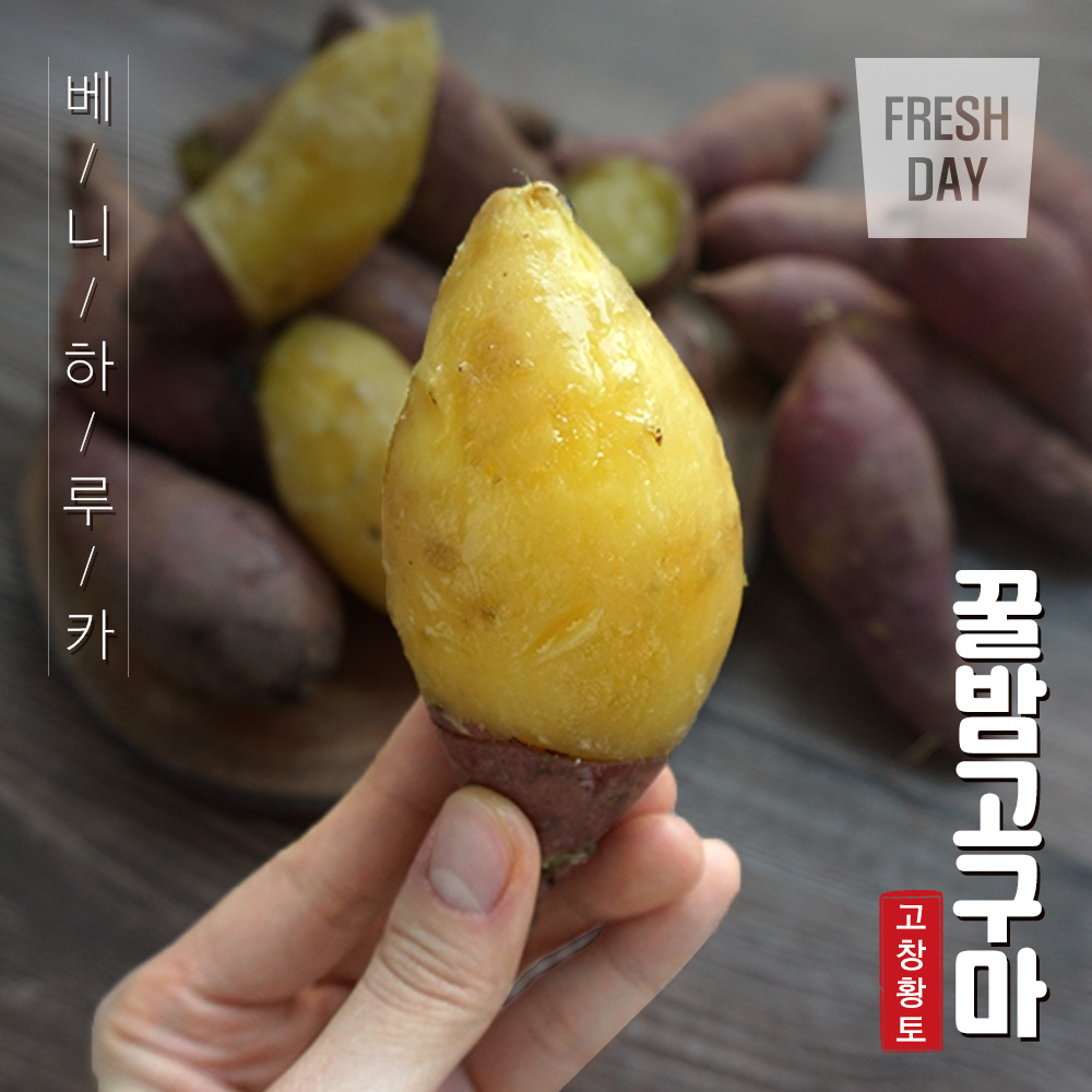 달콤한 고창 꿀밤 고구마 3~10kg (소)