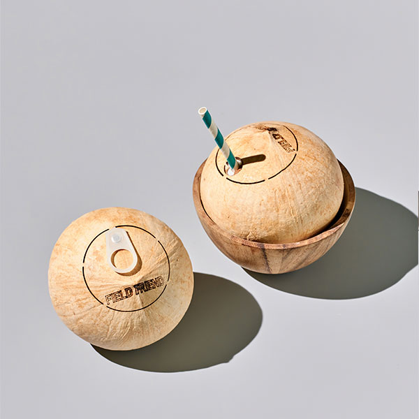손질 코코넛(450g 내외)