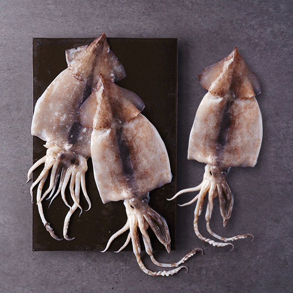 손질오징어 (3미, 450g)