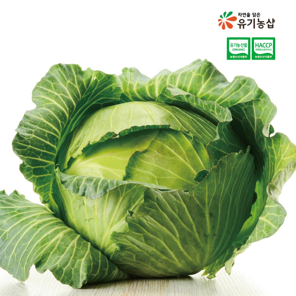 [초록한입] 유기농 양배추 2kg + 건강즙 증정