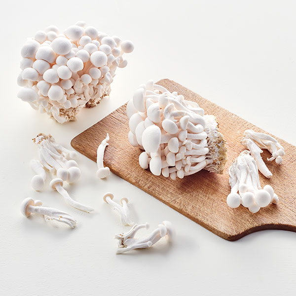 친환경 흰색 만가닥버섯 ( 150g 내외)