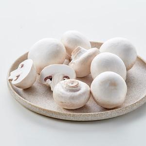 흰색 양송이버섯 ( 100g 내외) 상품이미지