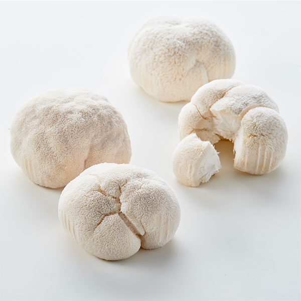 무농약 노루궁뎅이 버섯(1입, 80~100g)