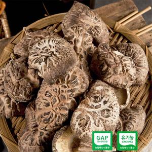 참나무원목재배 유기농 건표고버섯 통버섯 100g 대표이미지 섬네일