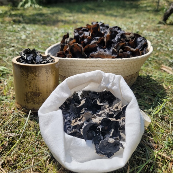 남도해풍 건목이버섯 90g, 180g 2종