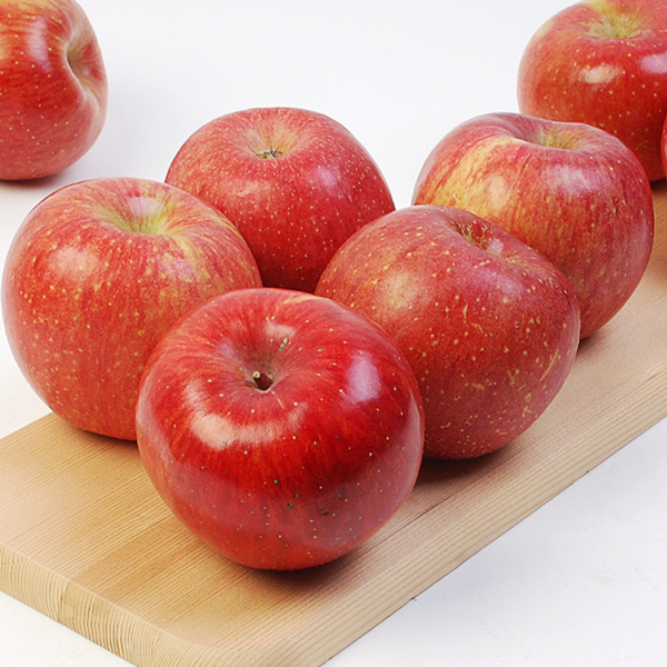 [특가]마음담은 사과 3kg(18~23과_흠집) 외 8종