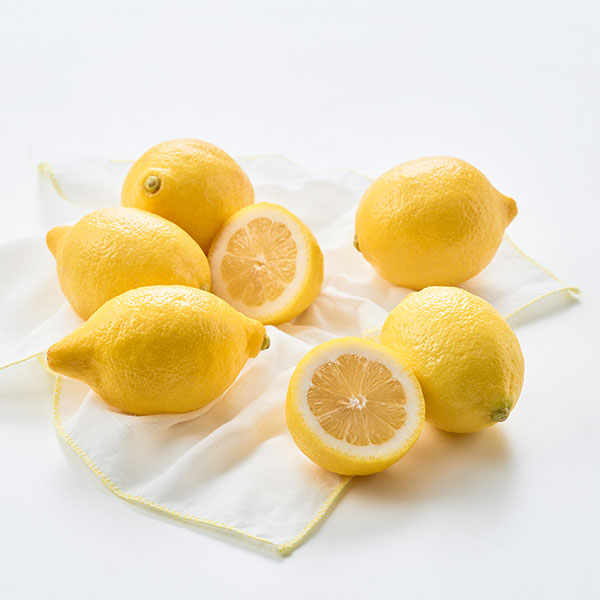 점보 레몬(6입/900g내외)