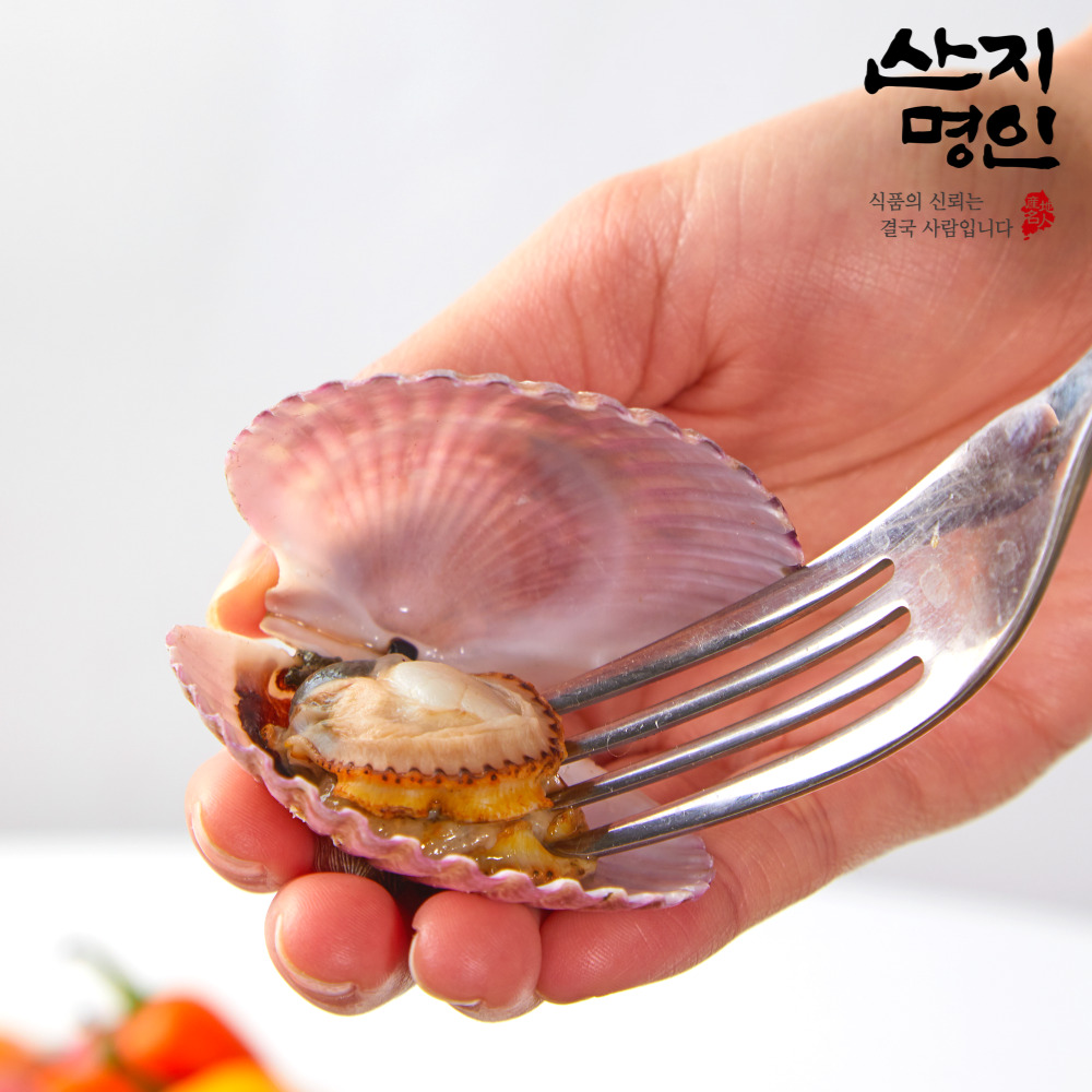 [산지명인] 통영 제철 비단 홍가리비 1kg 세척 선별 조개구이