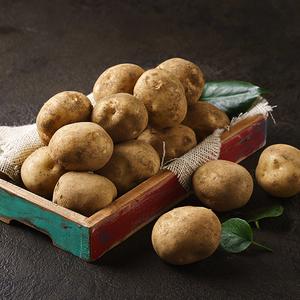 국내산 감자(1kg.6~10개) 상품이미지