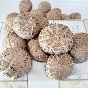 백화고버섯 국내산 참나무배지 생표고버섯 특품 1kg 상품이미지