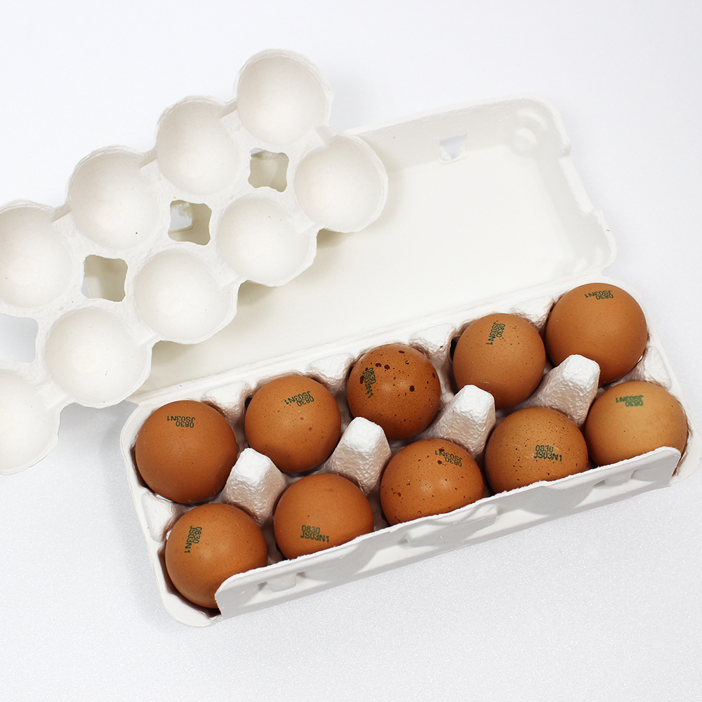 [무료배송](난각번호 1번) 자연방사 방목 유정란 계란 달걀 20구  (52g이상 특란)