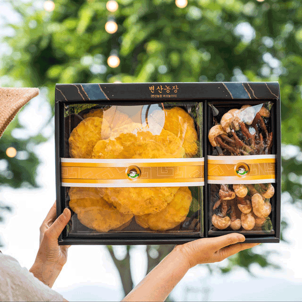 국산 장수상황버섯 녹각영지 특상품 선물세트