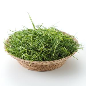 [봄나물] 유기농 세발나물(150g/봉) 상품이미지