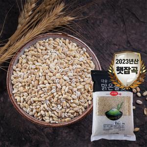 [대숲맑은물애] 섬유질과 무기질의 다량 함유 고소함의 황금물결 보리쌀 1kg~5kg 상품이미지