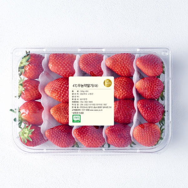 무농약 4℃ 딸기(대/500g)