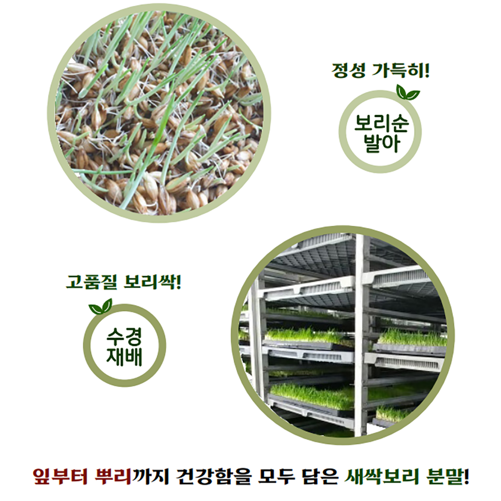 [오엠오] 100% 국내산 새싹보리분말 수경재배
