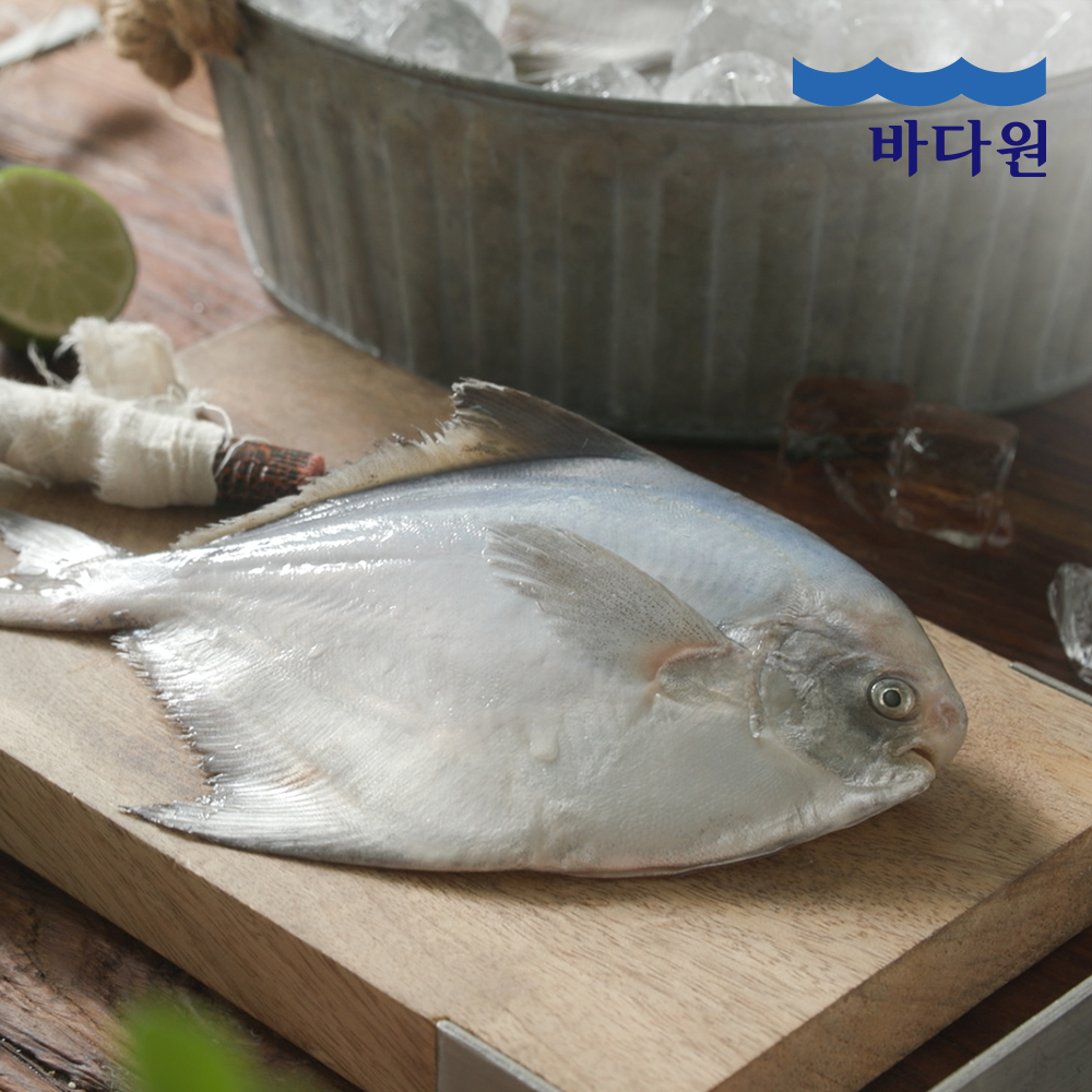 [바다원] 생선명가 국내산 손질 은병어 300g(2미)