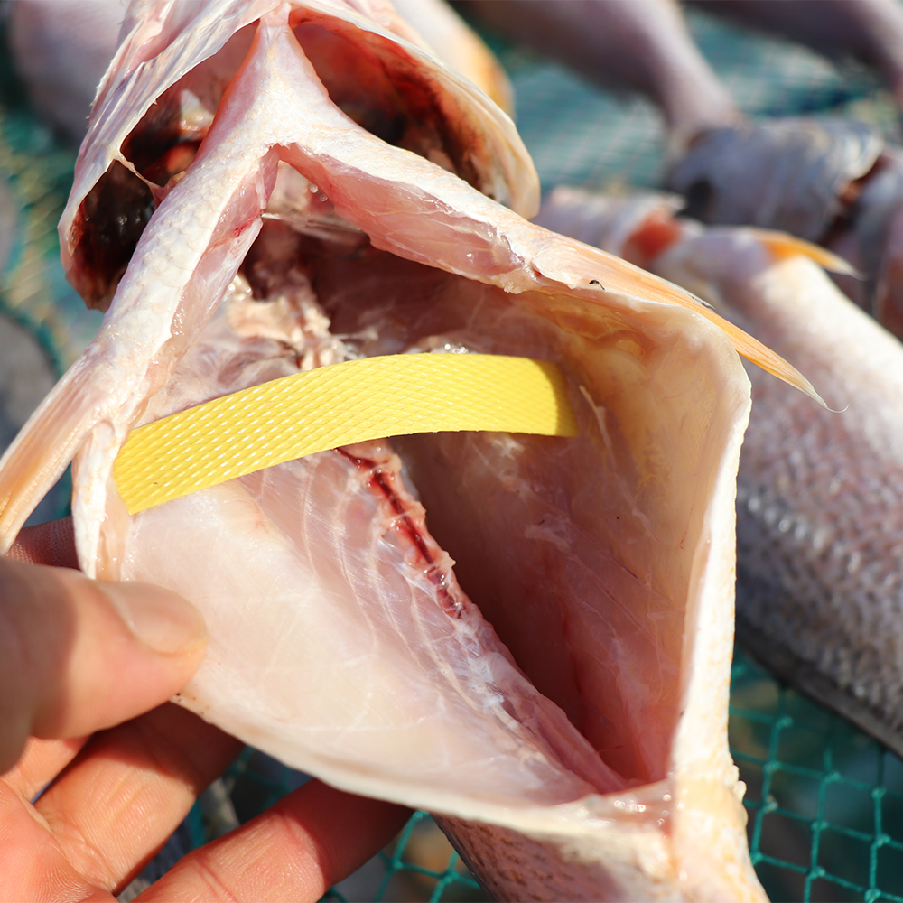 반건조 생선 14종 골라담기