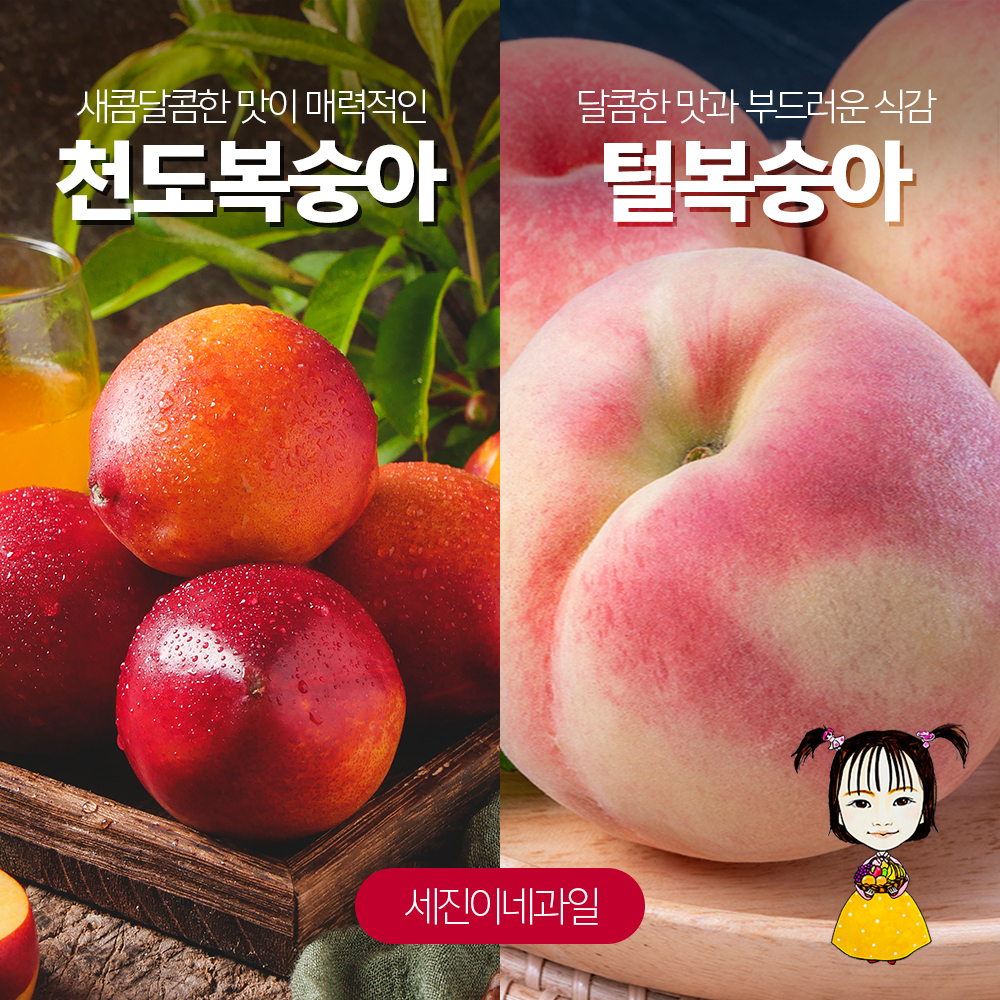 [착한가격]세진이네 과일 맛있는 털 복숭아 백도/황도/딱딱이 4kg 대표이미지 섬네일