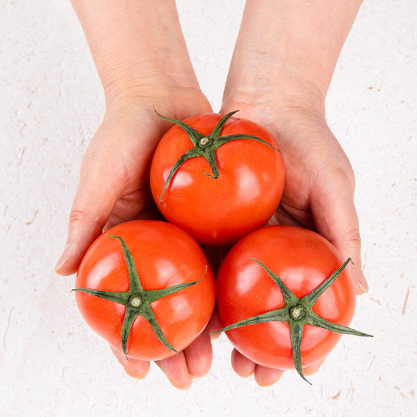 영양만점 토마토 2kg / 5kg