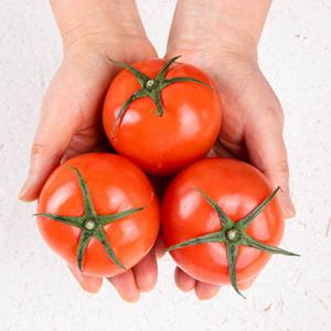 영양만점 토마토 2kg / 5kg 상품이미지
