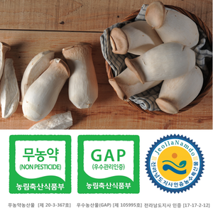 [산지직송] 친환경 무농약,GAP인증 새송이버섯 1kg 대표이미지 섬네일