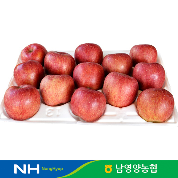 경북 영양 꿀부사 사과 5kg 가정용 흠과