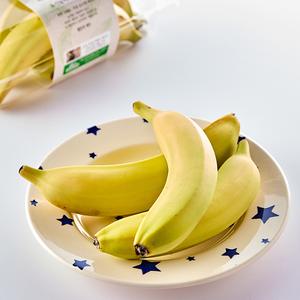 스미후루 순 유기농 바나나 (3~4입)