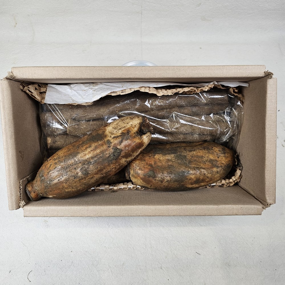 국산 햇연근 특품 1kg + 햇우엉 특상품 1kg