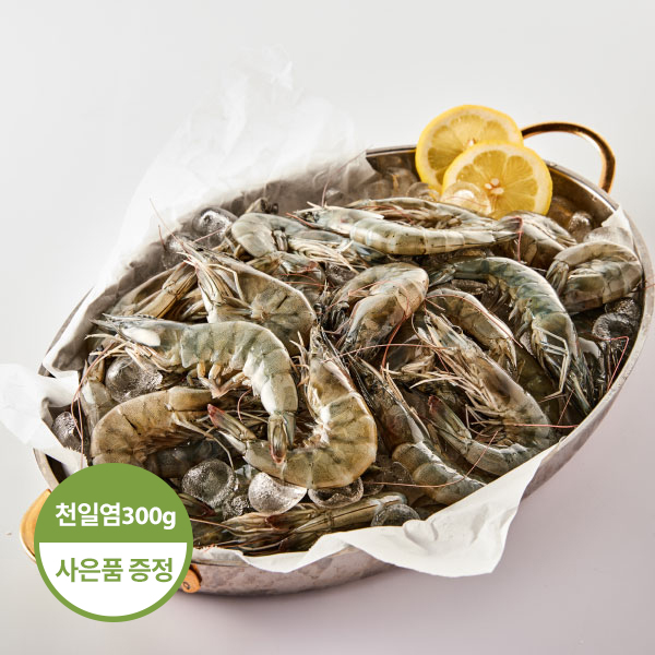 [천일염 증정] 신안 생새우 (1kg/35미내외)