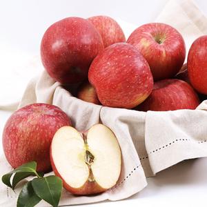 [프리팜] 아삭달콤한 햇 부사 사과 (박스) 상품이미지