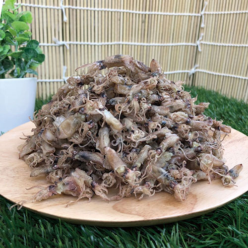 직접잡은 햇 꼴뚜기(상급) 300g~1.5kg