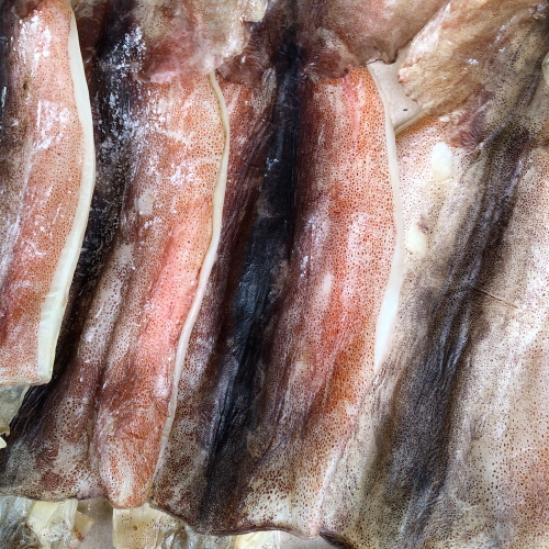 배에서 말린 국산 배오징어(반건조) 5마리, 10마리