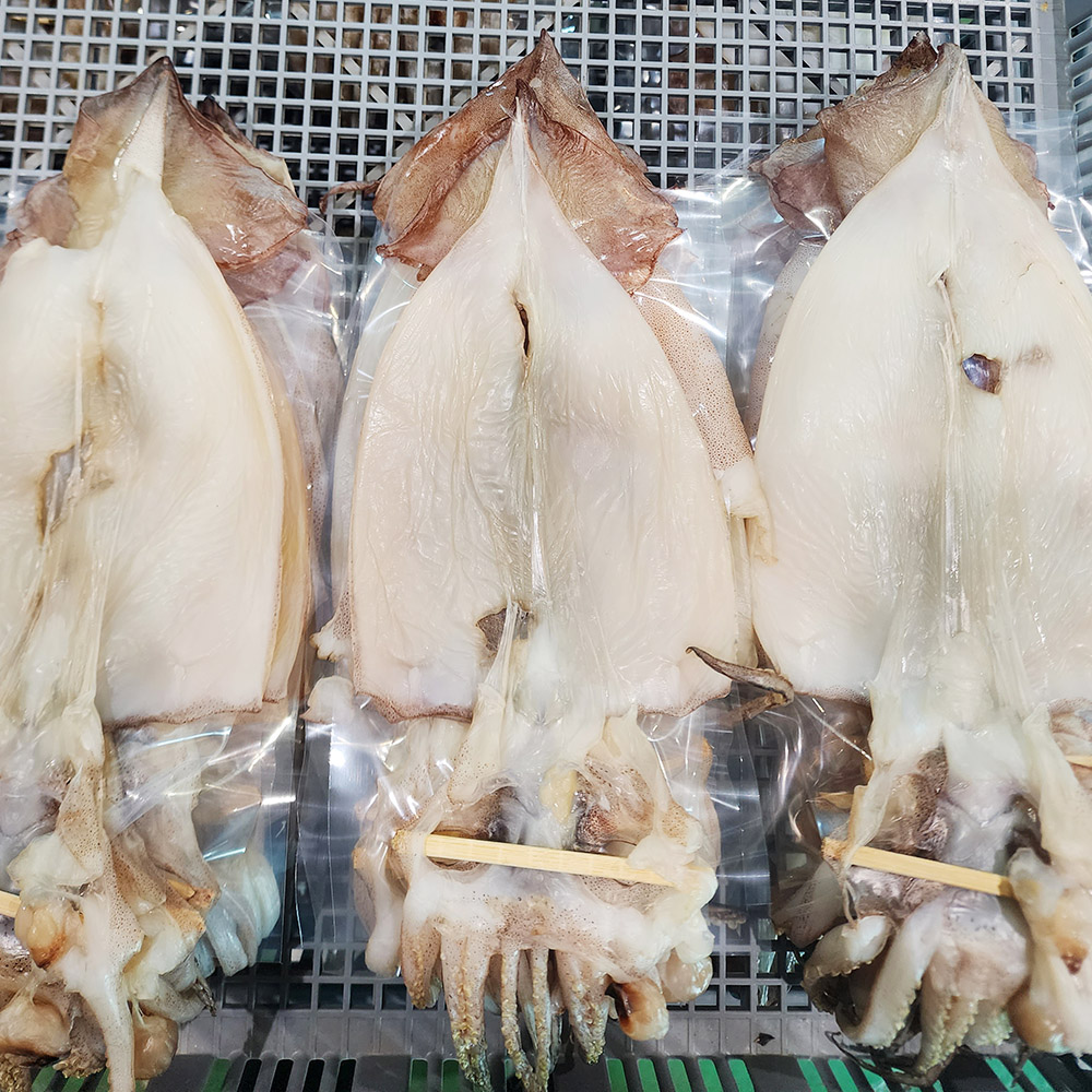 포항 구룡포 반건조 오징어 소 중 대 특대 10마리 550g-1.1kg 내외 대표이미지 섬네일