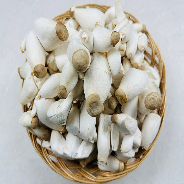 미니새송이버섯 총알버섯 콩새송이 버섯 2kg