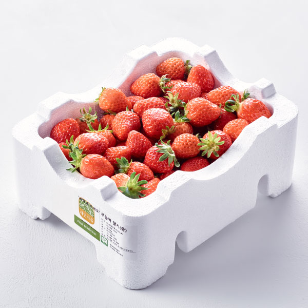 친환경 4℃ 딸기(한입/1kg)
