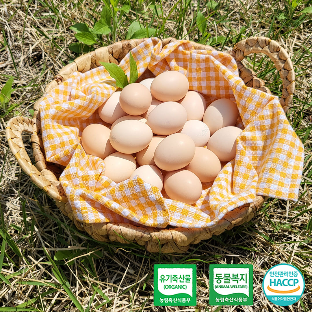[국민란] 백봉오골계알 100% 유기농 무항생제 계란 대한민국 1호 농장  백봉오골계란 오골계 친환경 달걀 20알