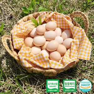 [국민란] 백봉오골계알 100% 유기농 무항생제 계란 대한민국 1호 농장  백봉오골계란 오골계 친환경 달걀 20알 상품이미지