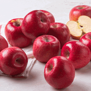[쿠폰30%][사과의명가]GAP 저탄소 고당도 사과 (1.3kg/4~5입) 상품이미지