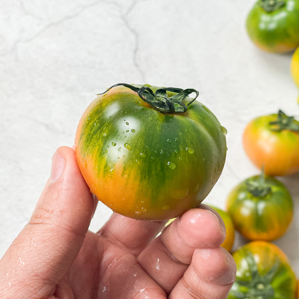 대저토마토 대저 짭짤이 토마토 2.5kg