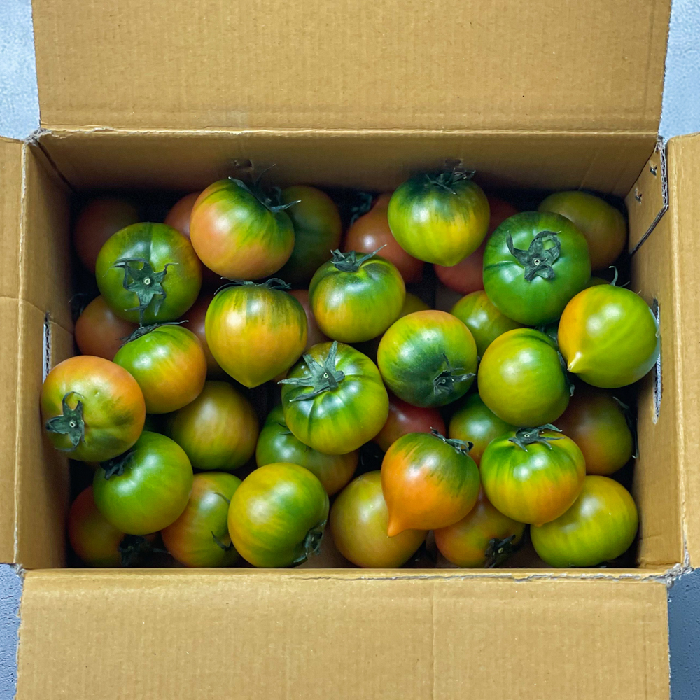 대저토마토 대저 짭짤이 토마토 2.5kg