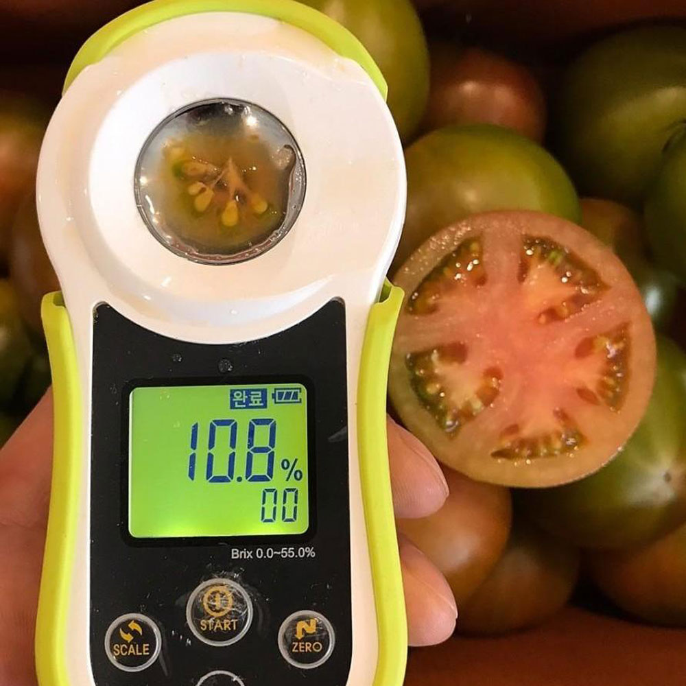 부산 명물 대저 짭짤이 토마토 2.5kg 로얄과 [S/2S]