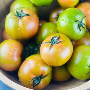 부산 명물 대저 짭짤이 토마토 2.5kg 로얄과 [S/2S] 상품이미지