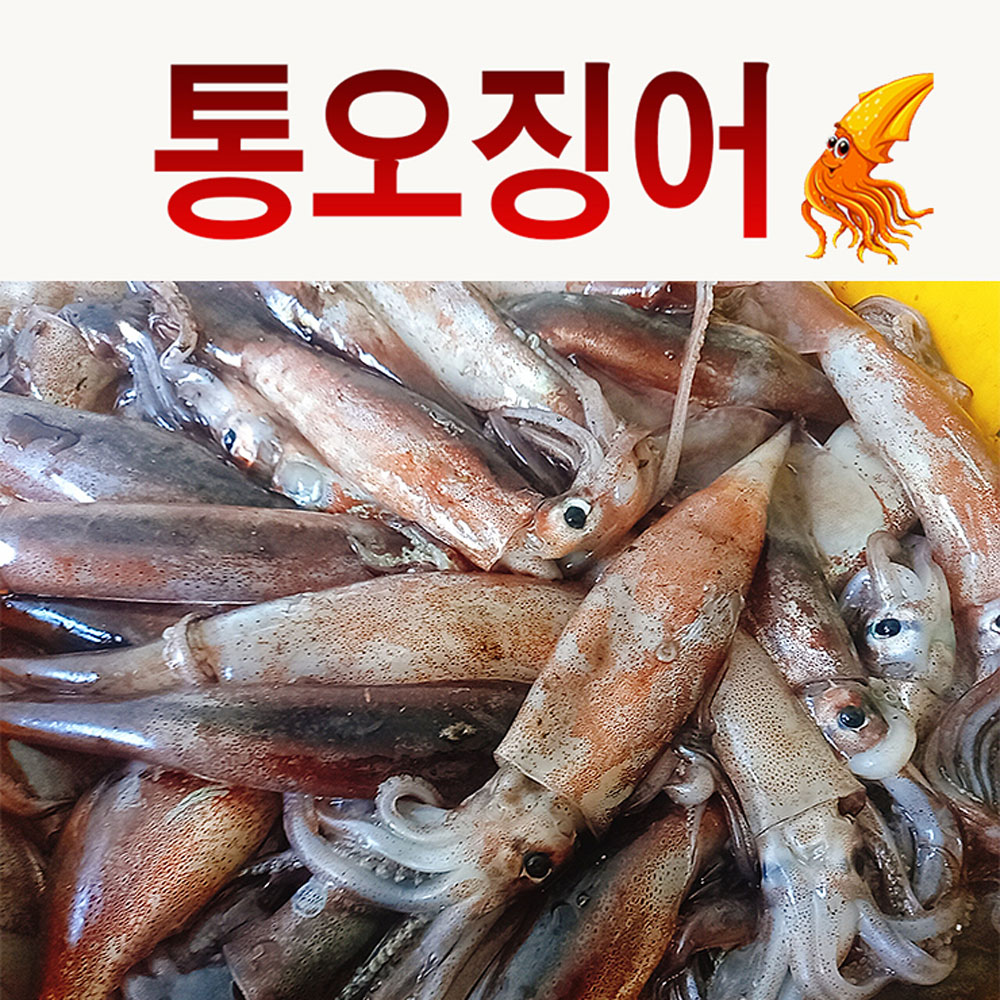 자연산 싱싱한 통오징어 급냉 선동 총알오징어 500g (4-8미)